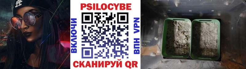 Галлюциногенные грибы Psilocybine cubensis  гидра онион  Зубцов 