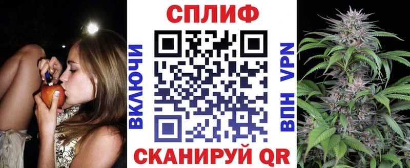 МАРИХУАНА план  Зубцов 